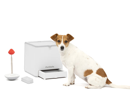 PetSafe Teach & Treat Remote Reward Trainer – Automatic Treat Dispenser, Interactive Training Tool