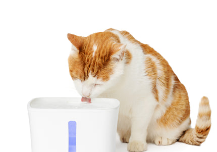 PetSafe Viva Pet Fountain – Large Capacity, Illuminated Water Level Indicator, Modern Design