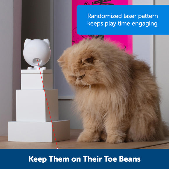 PetSafe Dancing Dot Laser Cat Toy – Interactive Automatic Laser with Adjustable Timer