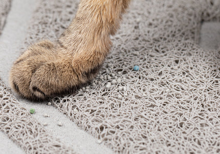 PetSafe Scoop Free Litter Box Hood – Durable Accessory for Odor Control and Privacy