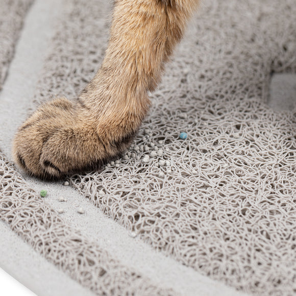 PetSafe Scoop Free Litter Box Hood – Durable Accessory for Odor Control and Privacy