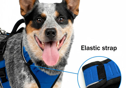PetSafe Easy Sport Harness Blue – Pressure-Free Adjustable Medium Size, Comfortable Fit