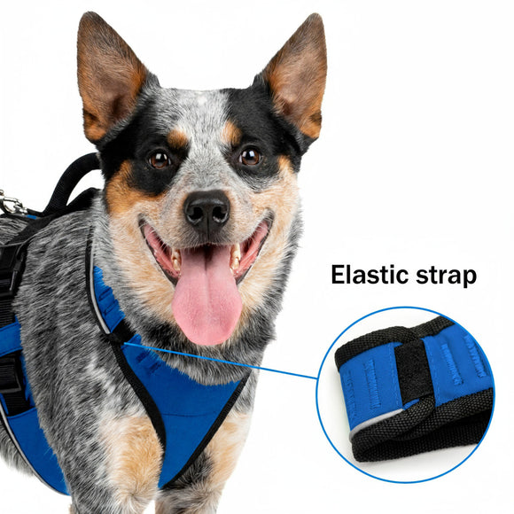 PetSafe Easy Sport Harness Blue – Pressure-Free Adjustable Medium Size, Comfortable Fit