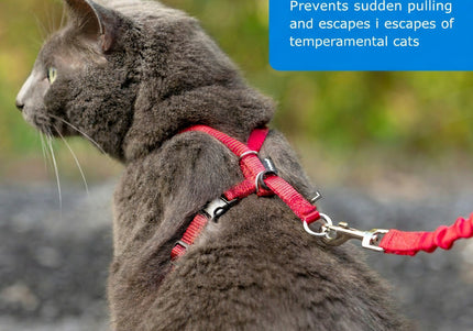 PetSafe Easy Walk Cat Harness – Royal Blue Bungee Harness and Leash, Small Size