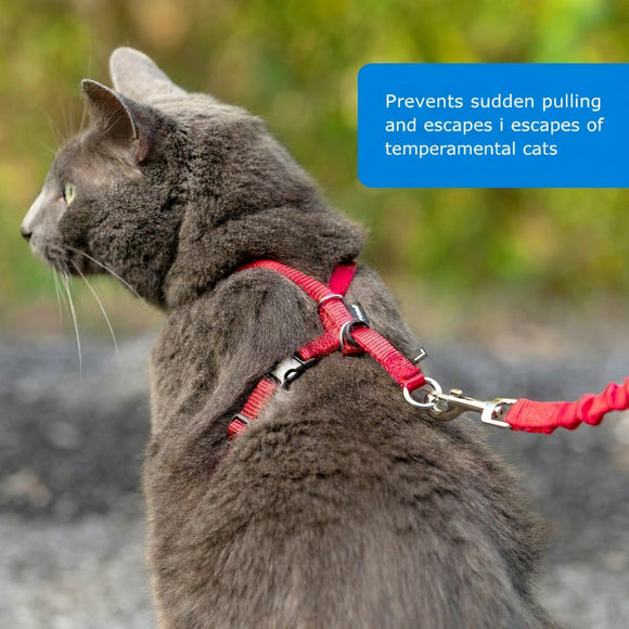 PetSafe Easy Walk Cat Harness – Royal Blue Bungee Harness and Leash, Small Size