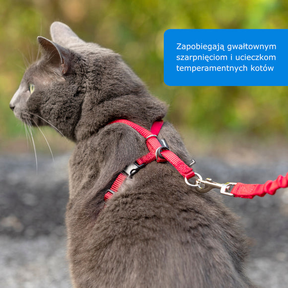 PetSafe Easy Walk Cat Harness – Royal Blue Bungee Harness and Leash, Small Size