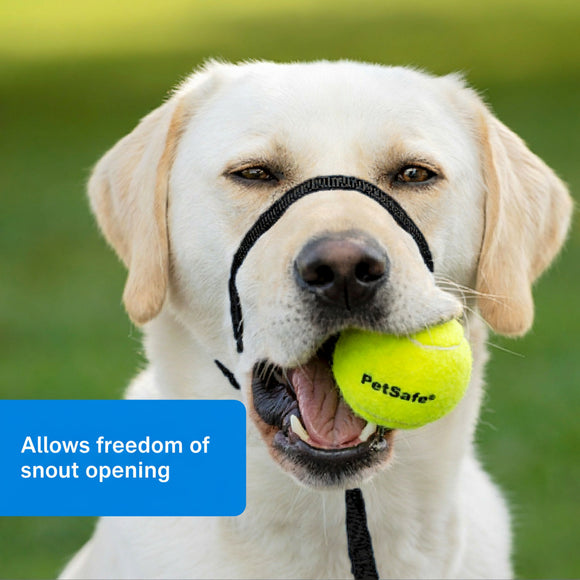 PetSafe Easy Walk Headcollar Black – Adjustable Dog Halter with Leash, Small Size