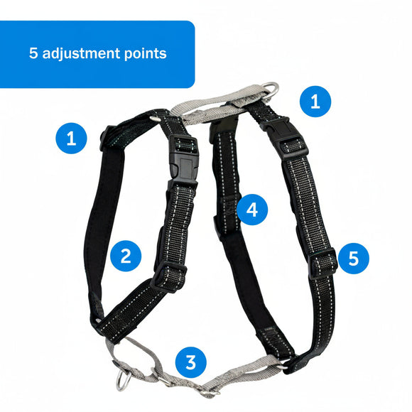 PetSafe 3in1 Harness and Car Restraint – Adjustable Medium Size, Secure Multi-Use Design