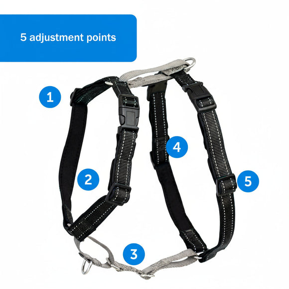 PetSafe 3in1 Harness and Car Restraint – Adjustable Medium Size, Secure Multi-Use Design