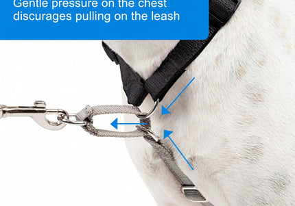 PetSafe 3in1 Harness and Car Restraint – Adjustable Medium Size, Secure Multi-Use Design