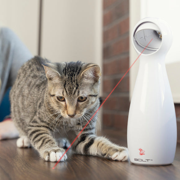 PetSafe Bolt Automatic Laser Light – Interactive Cat Toy with Manual and Auto Modes