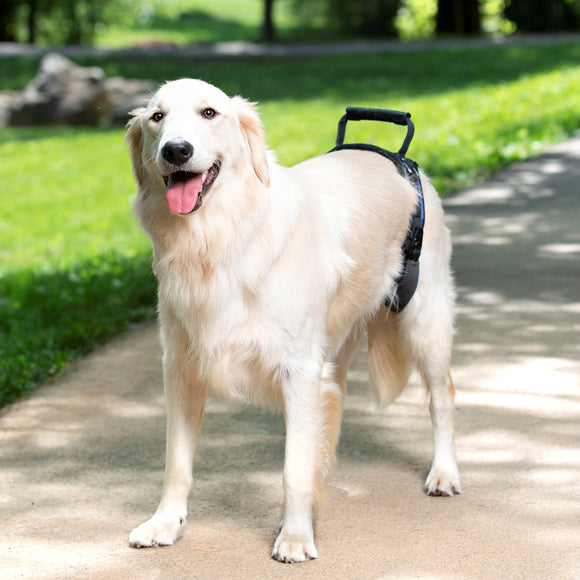 PetSafe CareLift Rear Support Harness – Medium Size, Ergonomic Hip Rehabilitation Design