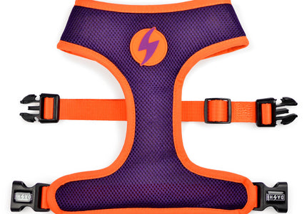 Dashi Pumpkin Neo Mesh Harness – Pressure-Free Double-Sided Mesh, Halloween Pumpkin Pattern, XL