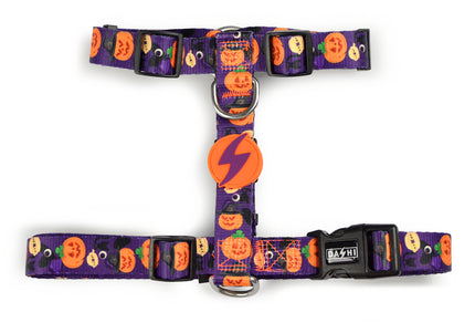 Dashi Pumpkin Back Harness – Adjustable Guard Harness with Halloween Pumpkin Pattern, Size S