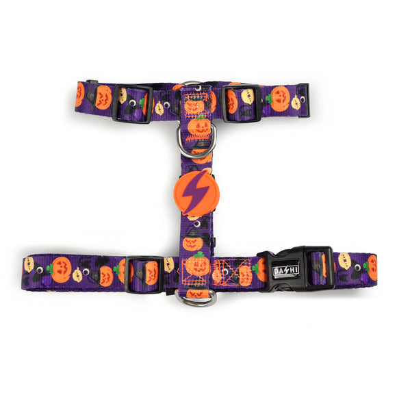 Dashi Pumpkin Back Harness – Adjustable Guard Harness with Halloween Pumpkin Pattern, Size S