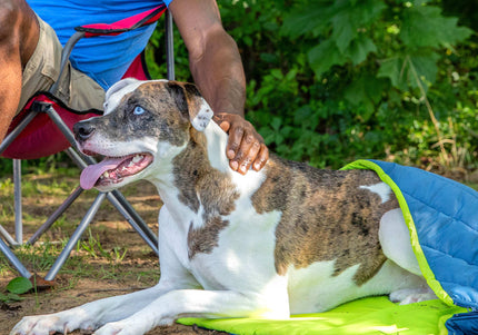 Kurgo Pup Sack Sleeping Bag 102cm – Waterproof Design with Heat-Retaining Lining, Lightweight Comfort