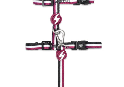 Dashi Stripes Purple & Black Cat Harness and Leash Set – Adjustable, Stylish Striped Design