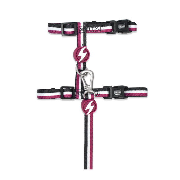 Dashi Stripes Purple & Black Cat Harness and Leash Set – Adjustable, Stylish Striped Design