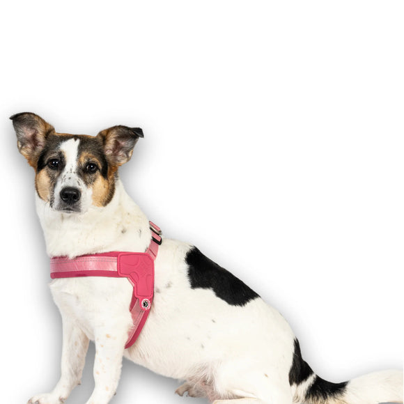Max&Molly Q-Fit Matrix 2.0 Harness – Lightweight Step-In Design with QR ID, Pastel Pink XXS