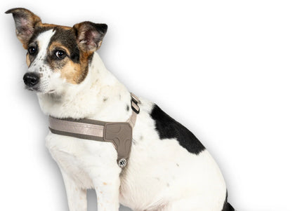 Max&Molly Q-Fit Matrix 2.0 Step-In Harness – Lightweight Sand Beige with QR ID, Medium