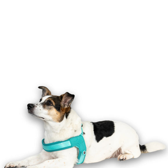 Max&Molly Q-Fit Matrix 2.0 Turquoise Harness – Lightweight Step-In Design with QR ID, Medium