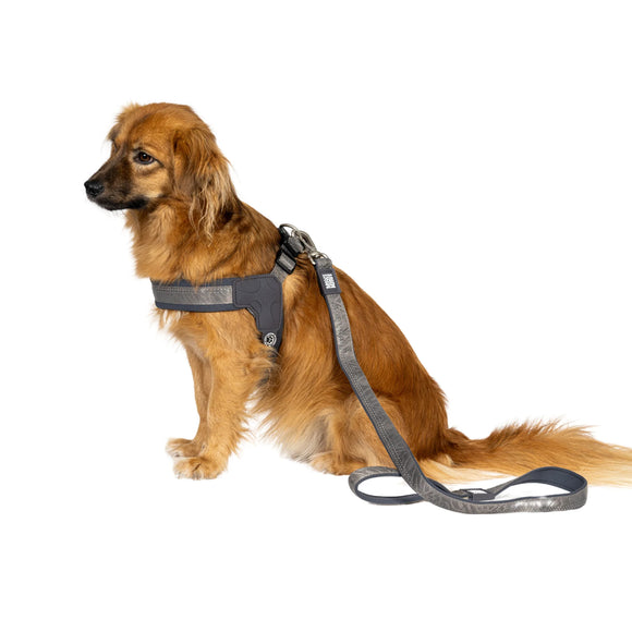 Max&Molly Q-Fit Matrix 2.0 Step-In Harness – Lightweight Gray Design with QR ID, XS