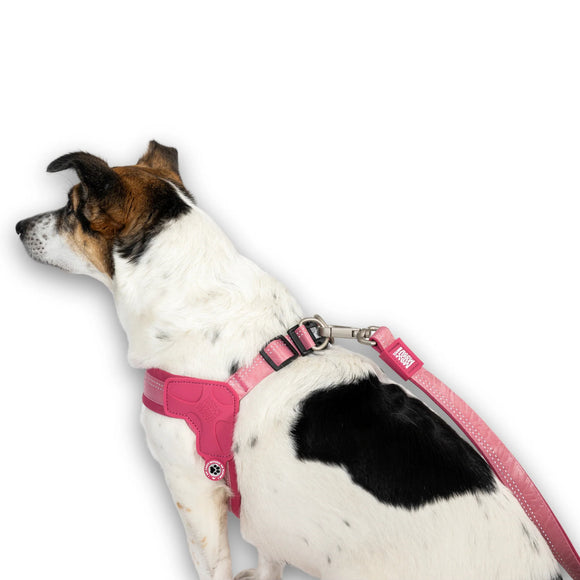 Max&Molly Q-Fit Matrix 2.0 Harness – Lightweight Step-In Design with QR ID, Pastel Pink XXS