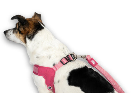 Max&Molly Q-Fit Matrix 2.0 Harness – Lightweight Step-In Design with QR ID, Pastel Pink XXS