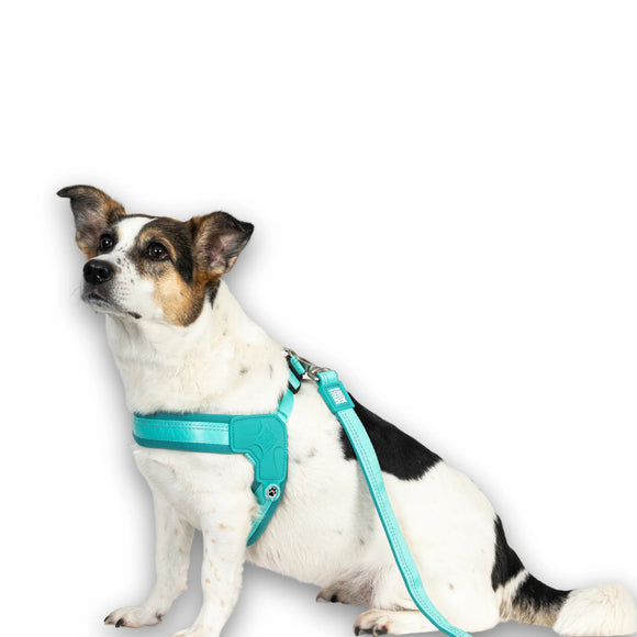 Max&Molly Q-Fit Matrix 2.0 Turquoise Harness – Lightweight Step-In Design with QR ID, Medium