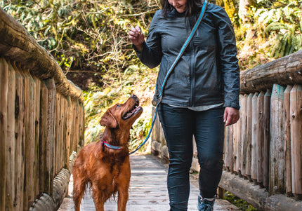 Kurgo Quantum 2.0 Leash – Versatile 6-in-1 Reversible Design, Adjustable Black Nylon