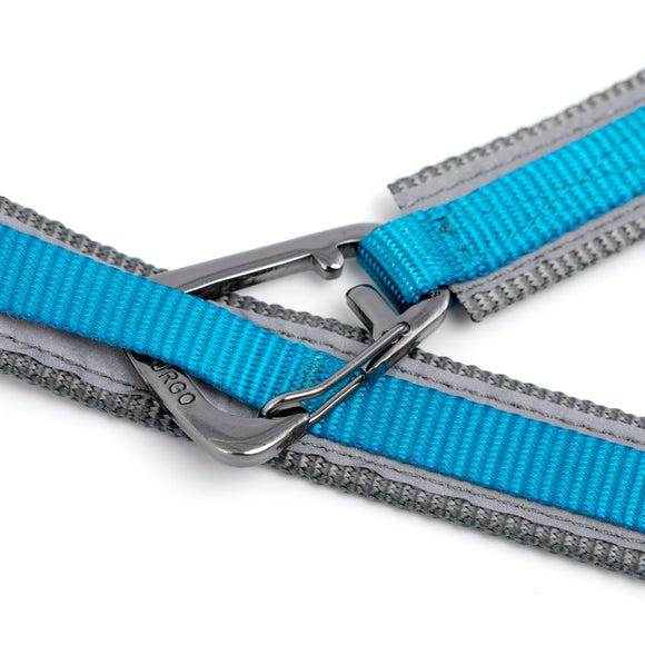 Kurgo Quantum 2.0 Leash – Versatile 6-in-1 Reversible Design, Adjustable Black Nylon