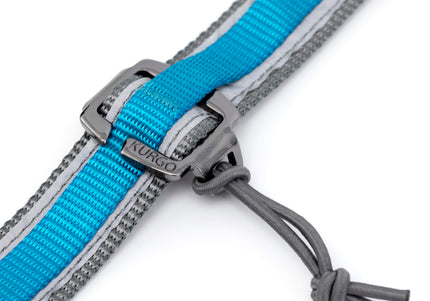 Kurgo Quantum 2.0 Leash – Versatile 6-in-1 Reversible Design, Adjustable Black Nylon