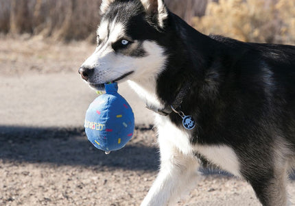 KONG Occasions Birthday Balloon Plush Toy – Large 20cm, Soft Blue, Festive Design