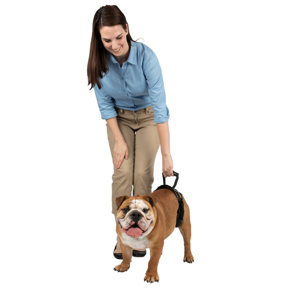 PetSafe CareLift Rear Support Harness – Medium Size, Ergonomic Hip Rehabilitation Design