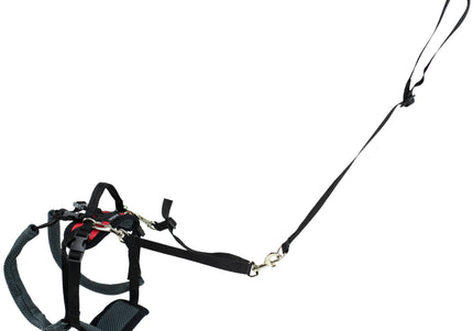 PetSafe CareLift Rear Support Harness – Medium Size, Ergonomic Hip Rehabilitation Design