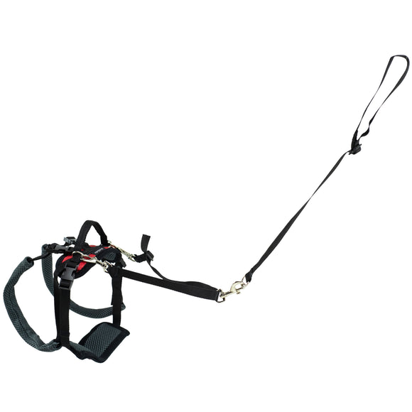 PetSafe CareLift Rear Support Harness – Medium Size, Ergonomic Hip Rehabilitation Design