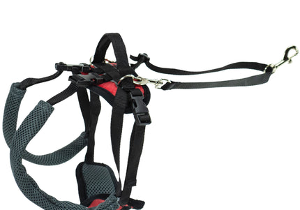 PetSafe CareLift Rear Support Harness – Medium Size, Ergonomic Hip Rehabilitation Design