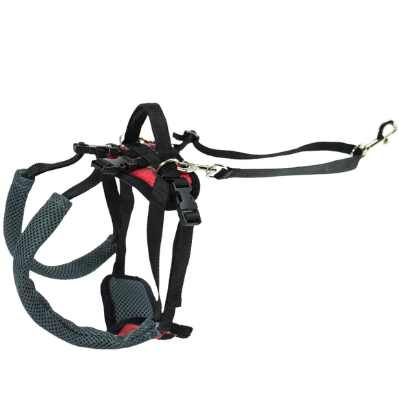PetSafe CareLift Rear Support Harness – Medium Size, Ergonomic Hip Rehabilitation Design
