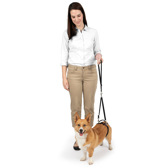 PetSafe CareLift Rear Support Harness – Medium Size, Ergonomic Hip Rehabilitation Design