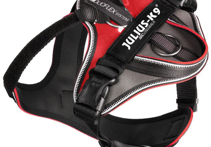 Julius K9 ICD Longwalk Harness Red XS – Ergonomic Trekking Design with Shock Absorbing Straps