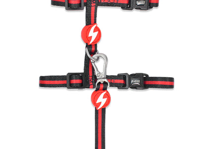 Dashi Stripes Red & Black Cat Harness and Leash Set – Adjustable, Comfortable Design