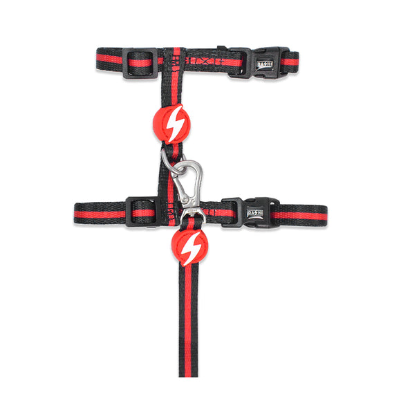 Dashi Stripes Red & Black Cat Harness and Leash Set – Adjustable, Comfortable Design