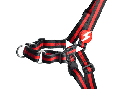 Dashi Stripes Red & Black Front Harness – No-Pull Norwegian Dog Harness, Medium Size, Durable Design