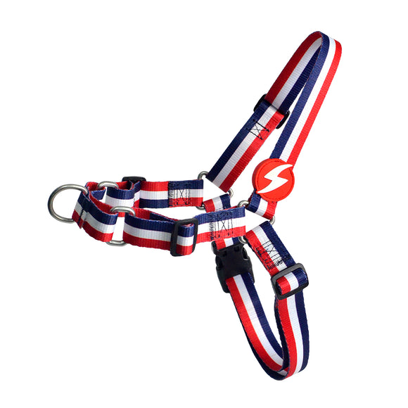Dashi Stripes Red & Blue Front Harness – No-Pull Norwegian Dog Harness, Large, Durable Design