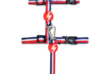 Dashi Stripes Cat Harness and Leash Set – Red and Blue, Comfortable Adjustable Design