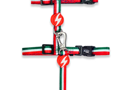 Dashi Stripes Cat Harness and Leash Set – Green and Red, Adjustable, Comfortable Design