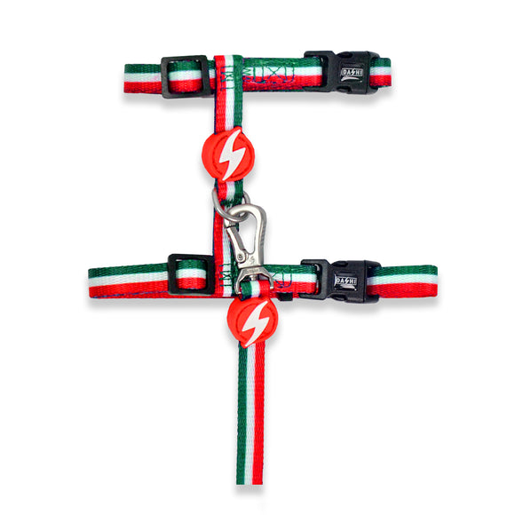 Dashi Stripes Cat Harness and Leash Set – Green and Red, Adjustable, Comfortable Design