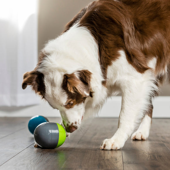 PetSafe Ricochet Electronic Dog Toy – Interactive Squeaking Balls, Engaging Play Design
