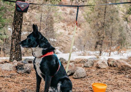 Kurgo Ridgeline Tie-Out 9m – Flexible Dog Zipline, Durable Camping Rope, Tree-to-Tree Setup