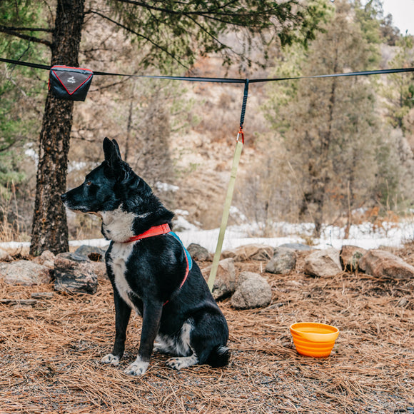 Kurgo Ridgeline Tie-Out 9m – Flexible Dog Zipline, Durable Camping Rope, Tree-to-Tree Setup